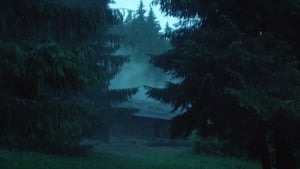 Nightsiren