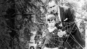 Return of the Fly