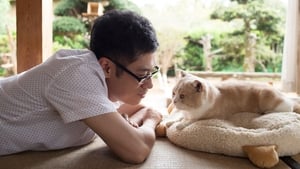 Neko Atsume House