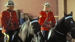 Due South